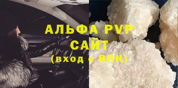 гашик Вяземский