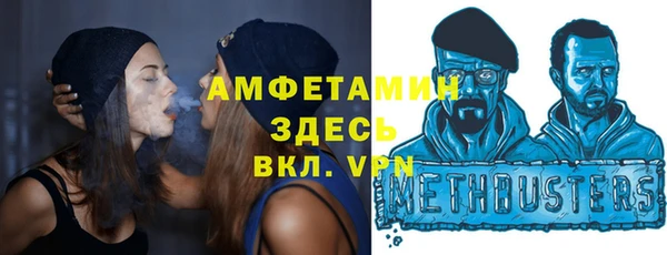 гашик Вяземский