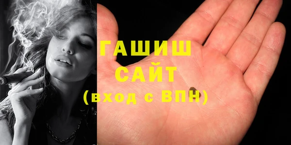 гашик Вяземский