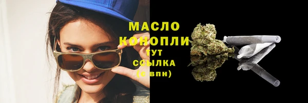 гашик Вяземский