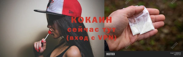 гашик Вяземский