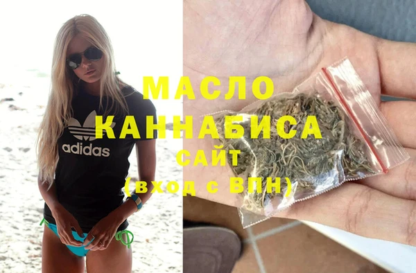 гашик Вяземский