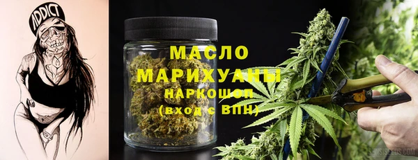гашик Вяземский
