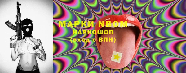 гашик Вяземский