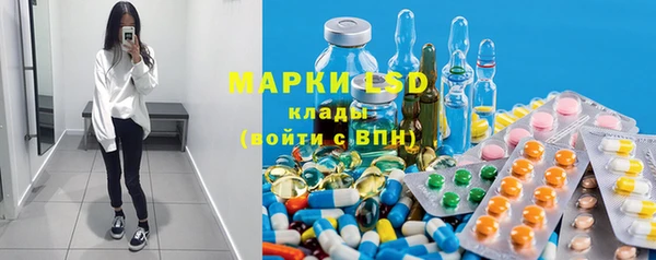 гашик Вяземский