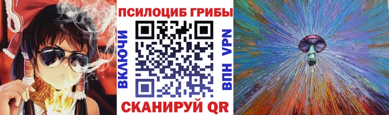 KRAKEN зеркало  Миасс  Псилоцибиновые грибы Psilocybe 
